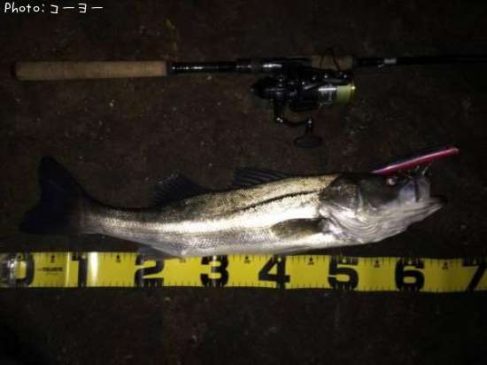 �����Х�