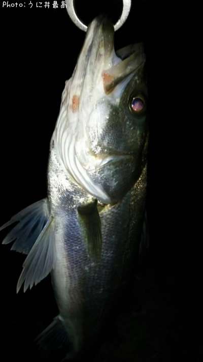 �����Х�