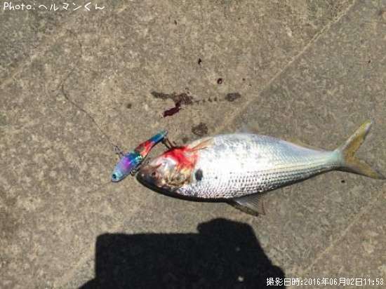 ���Υ���