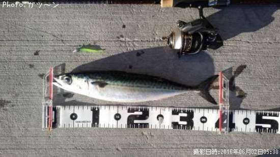 ���С���������������������������