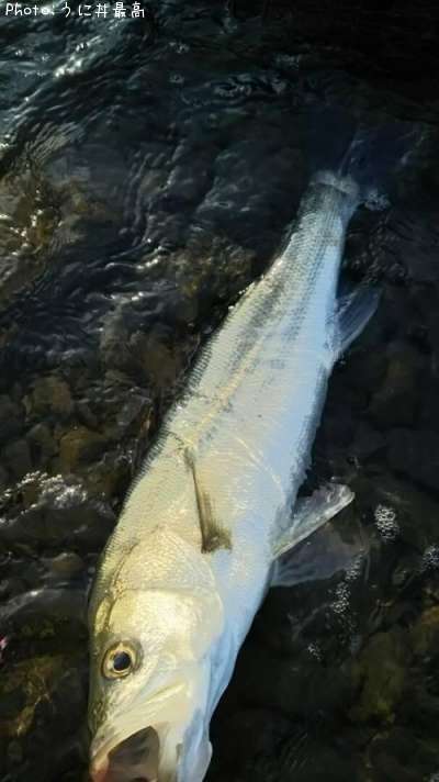 �����Х�