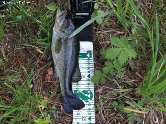 �֥�å��Х�