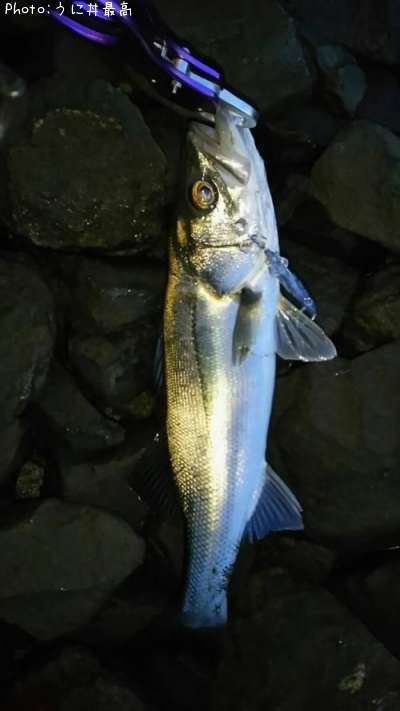 �����Х�