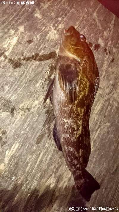 �����ʥ�