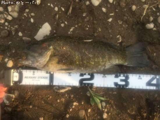 �֥�å��Х�