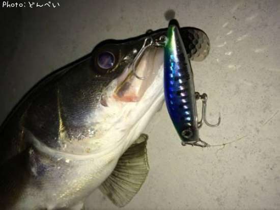 �����Х�