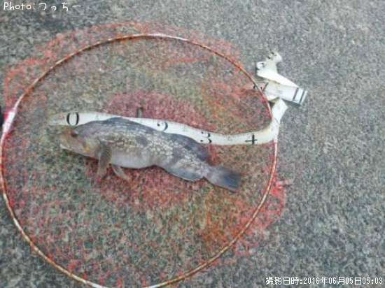 �����ʥ�