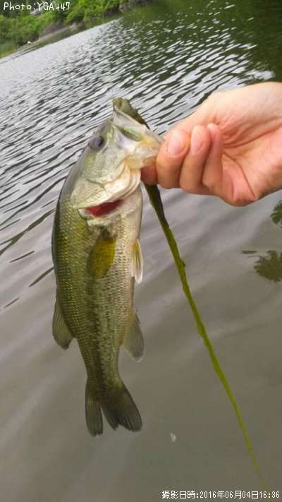 �֥�å��Х�