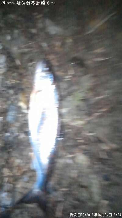 ���ĥ��ޥ�