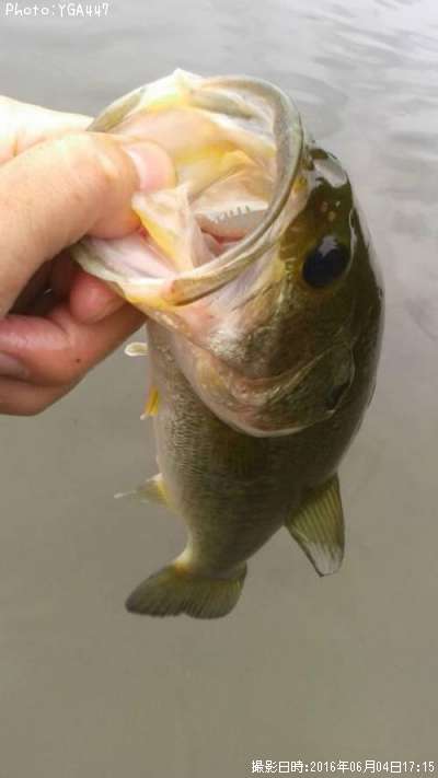 �֥�å��Х�