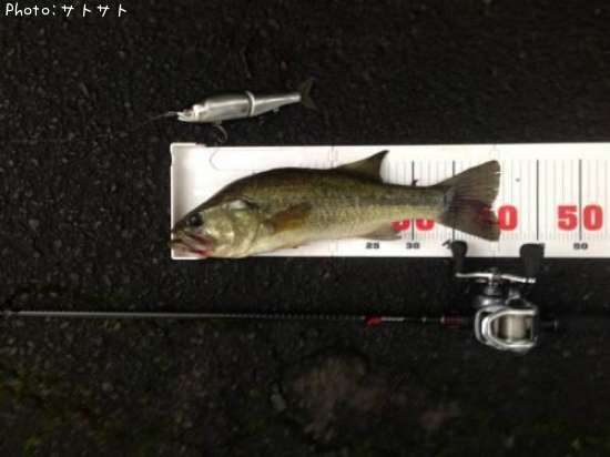 �֥�å��Х�