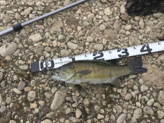 �֥�å��Х�