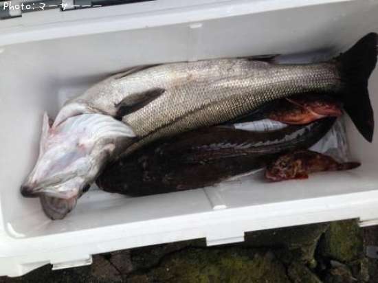 �����Х�