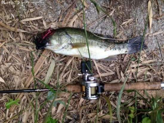 �֥�å��Х�