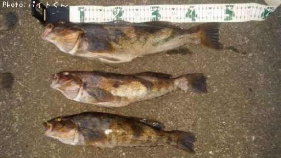 �����ʥ�