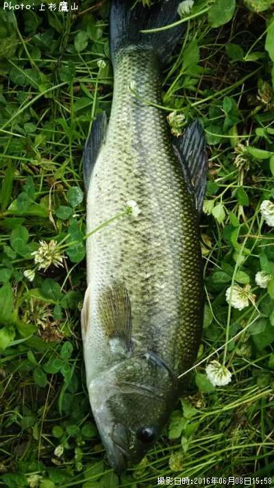 �֥�å��Х�