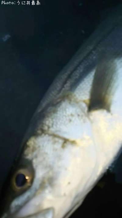 �����Х�