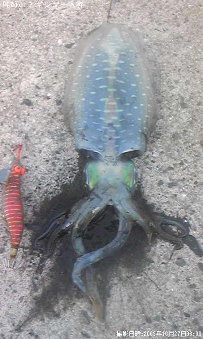 �����ꥤ��