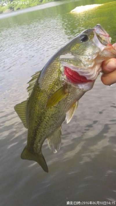 �֥�å��Х�