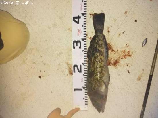 �����ʥ�