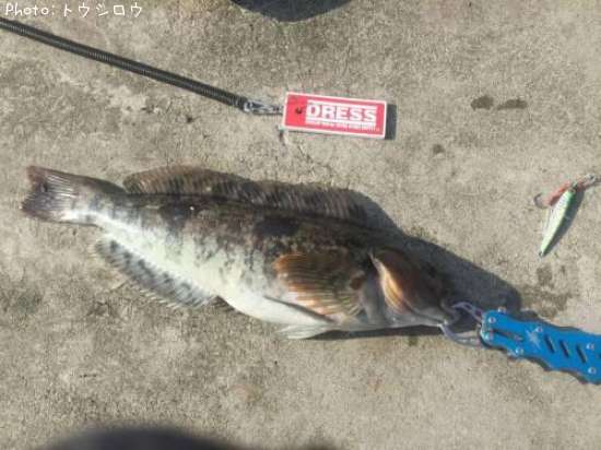 �����ʥ�