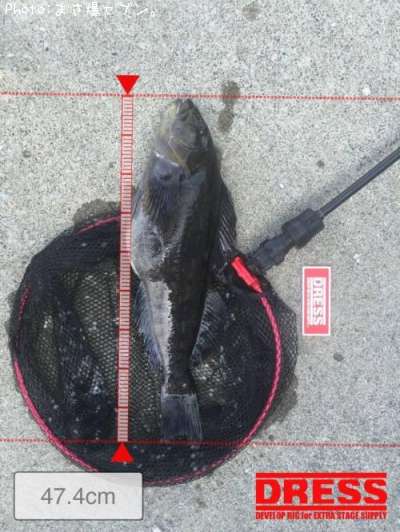 �����ʥ�