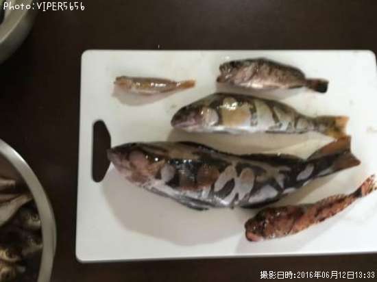 �����ʥ�