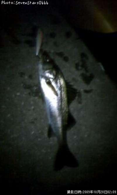 �����Х�