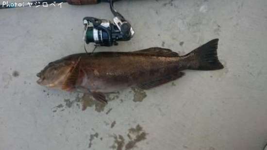 �����ʥ�