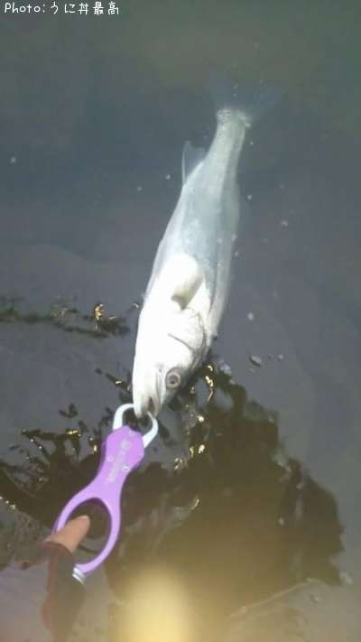 �����Х�