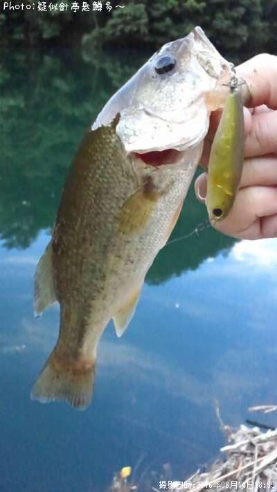 �֥�å��Х�