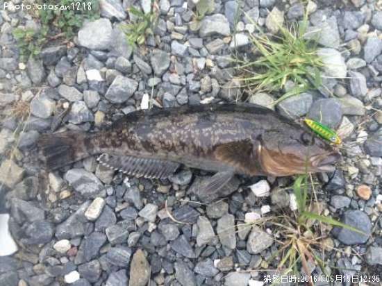 �����ʥ�