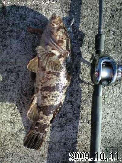 �٥å�������