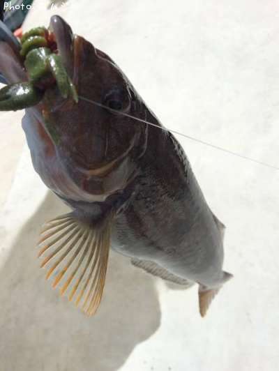 �����ʥ�