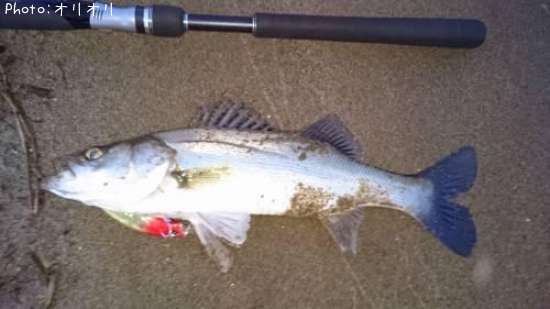 �����Х�