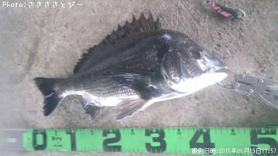 ���������������Х�