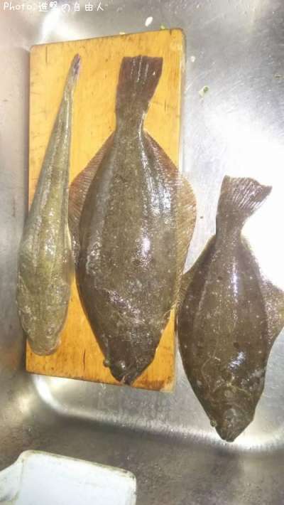 �ҥ�ᡢ����