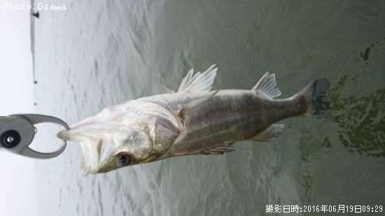 �����Х�