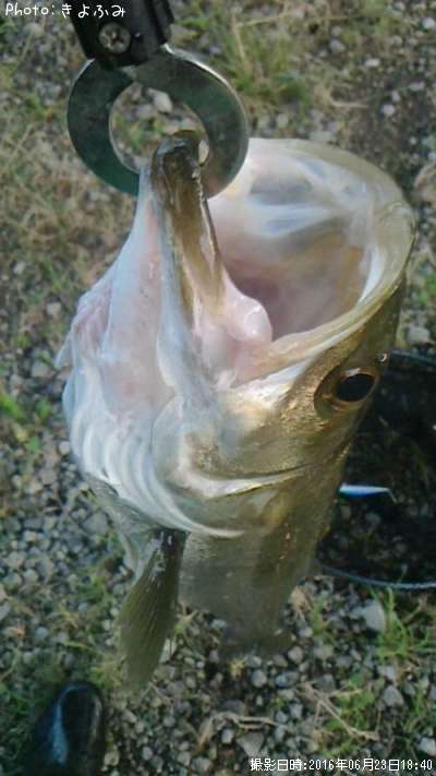 �����Х�