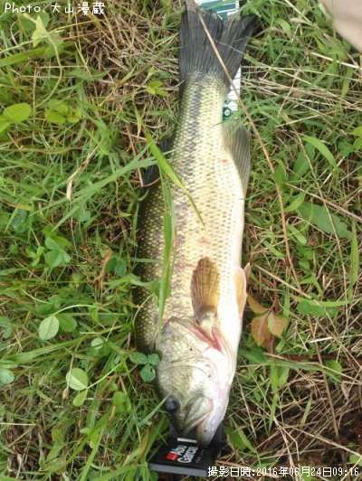 �֥�å��Х�