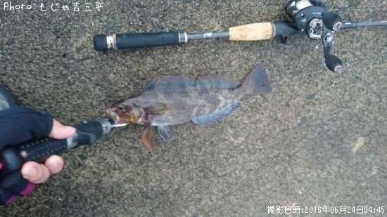 �����ʥ�