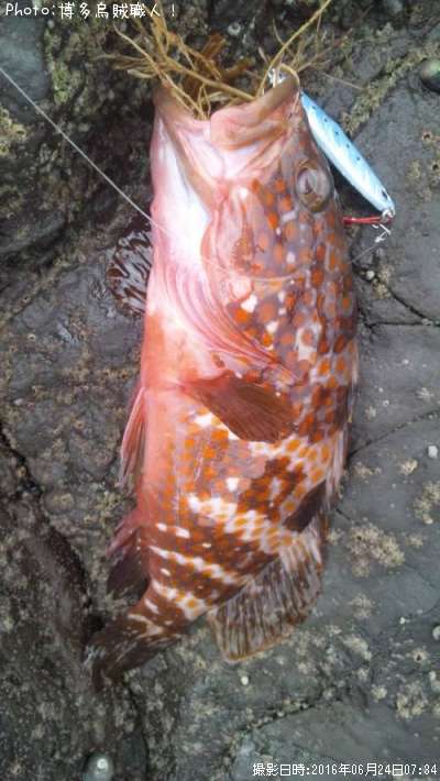 �����ϥ�