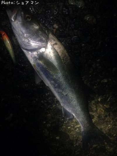 �����Х�