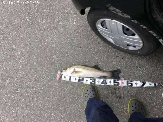 �����Х�