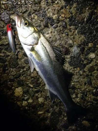 �����Х�