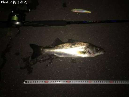 �����Х�