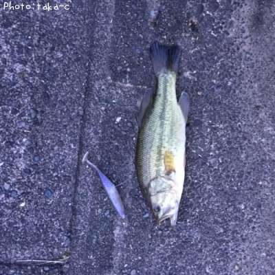 �֥�å��Х�