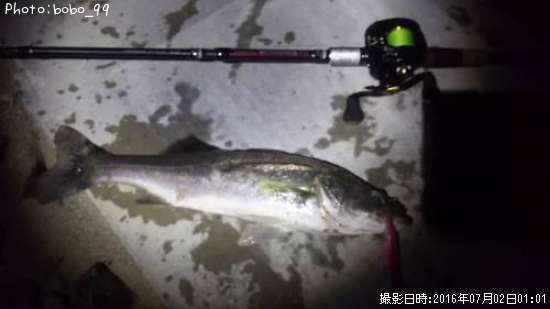 �����Х�