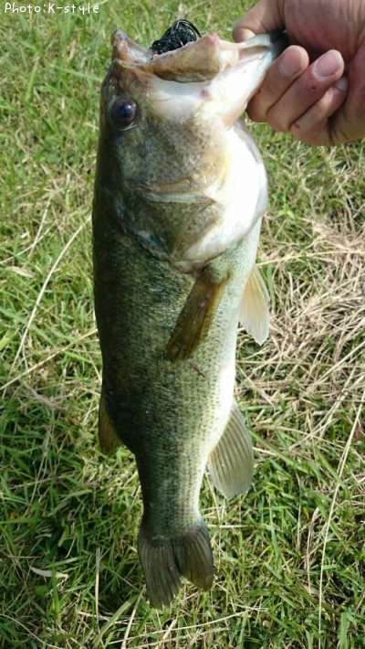 �֥�å��Х�