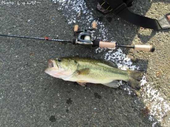 �֥�å��Х�